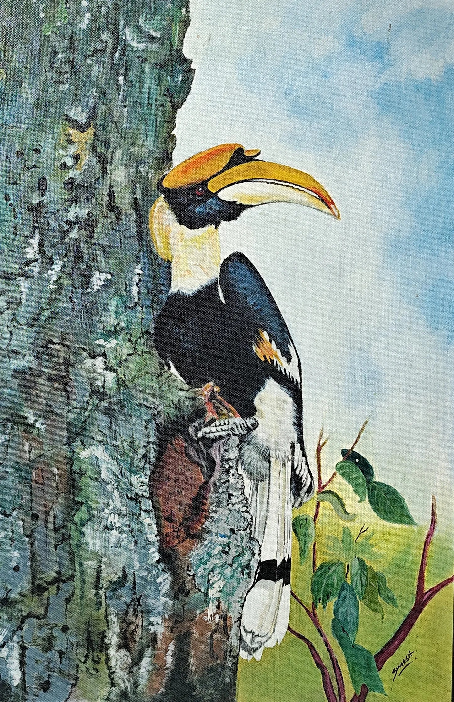 Hornbill Haven